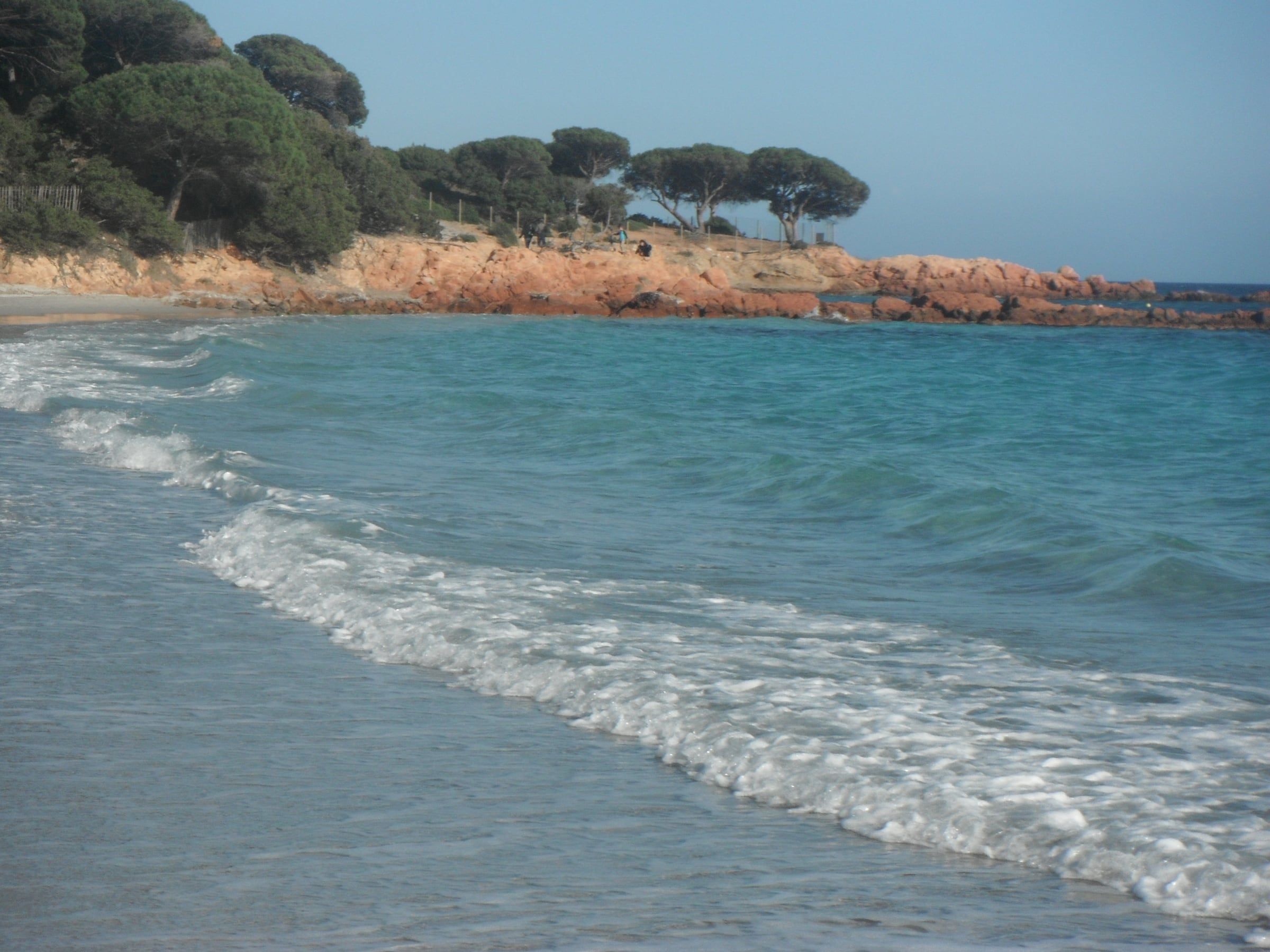 La plage de Palombaggia : eau turquoise, sable clair et pointe de granit rose plantée de pins parasols