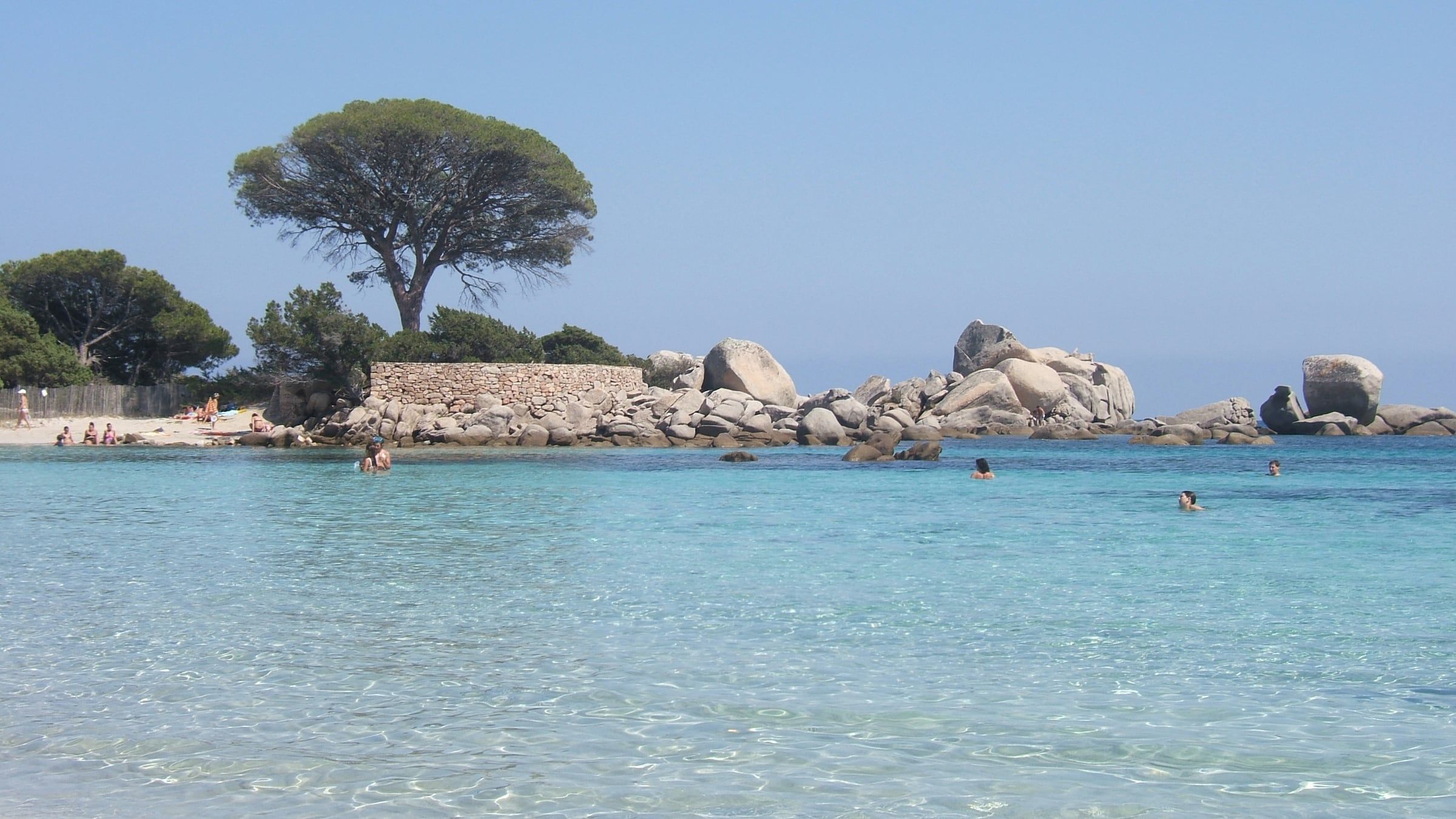 La plage de Tamaricciu : eau transparente devant des blocs de granit et un pin parasol